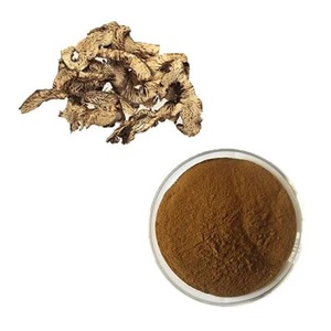 Extrait Pur de Racine de Cohosh Noire en Poudre – Soutien Herbal pour les Symptômes de la Ménopause, Équilibre Hormonal, Stabilité de l'Humeur, Soutien Immunitaire, Cheveux - Product Image 4