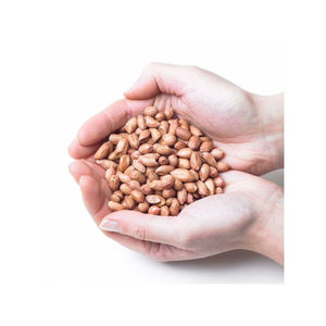 Núcleos de Cacahuete Naturales sin Cáscara al por Mayor para Procesamiento de Snacks, Elaboración de Dulces y Necesidades Internacionales de Importación a Gran Escala - Product Image 5