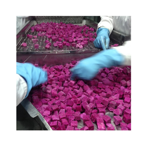 Fruit du dragon lyophilisé du Vietnam-rouge, fruit du dragon blanc avec texture croustillante, saveur naturelle, longue durée de conservation pour l'exportation - Product Image 1