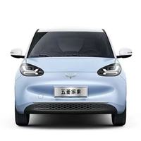 Véhicule électrique intelligent à usage personnel, nouvelle énergie, Bingo WuLing, mini voitures électriques, conduite à droite, en stock