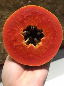 Papaya entera congelada fresca de alta calidad, entrega rápida - Product Image 3