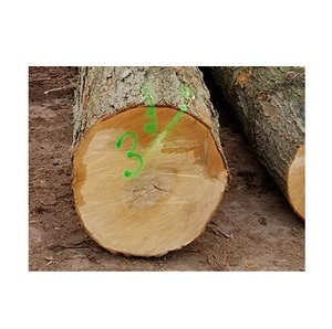 硬木枫木-家具加工用硬木出口原木 - Product Image 5