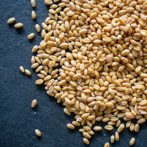 อาหารรำข้าวสาลีแห้งสำหรับใช้เป็นอาหารและสัตว์ - Product Image 5