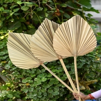 Feuilles de palmier géantes Décoration de fête Palmier naturel avec différentes couleurs Décoration d'intérieur Feuilles de palmier géantes