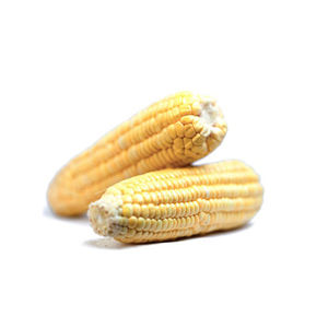 Maïs de maïs jaune mature 100% de haute qualité pour l'alimentation animale Style séché Prix de gros directement du fournisseur - Product Image 1