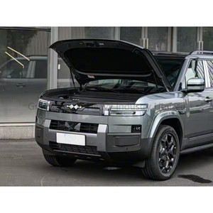 2025 Equation Leopard ไทเทเนี่ยม7 190กม. 4WD อัลตร้าปลั๊กอินไฮบริดรถออฟโรดรถหรูเทคโนโลยีอัจฉริยะ5-seater 5ประตู - Product Image 5