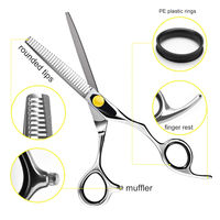 Meilleurs ciseaux de coiffure professionnels haut de gamme en acier inoxydable de haute qualité avec poignée en plastique confortable pour une utilisation en beauté