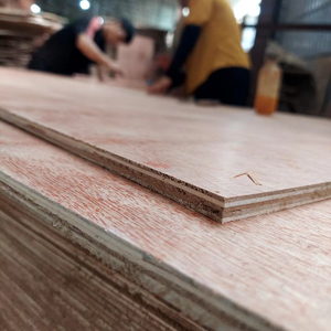 SOLO 7 USD/PCS Madera contrachapada de pino con chapa de abedul de doble cara para uso en almacén Garantía de 3 años Grado de segunda clase - Product Image 1