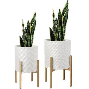 مجموعة بأسعار معقولة من 2 تصميم فاخر أصيص زهور مورد حديقة فيلا ديكور أواني زهور بلاتر مصنوعة يدويًا بكميات كبيرة - Product Image 1