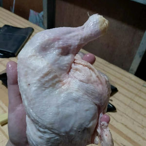 Piernas de Pollo Congeladas Orgánicas Halal de Alta Calidad, Sin Hormonas, en Venta al por Mayor - Product Image 1