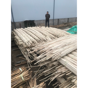 Eco Friendly 100% Natural Rattan Stick for Garden Plants Wholesale Rattan Material Big Size for Rattan <b>Furniture</b> Material - Product Image 6