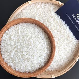 Japonica ข้าวทรงกลม GMO koshibikari ซูชิข้าวเวียดนามแบบสั้นตากแห้งยาวโรงงานชื่ออื่นๆ Riz- WS: + 84-915355383 - Product Image 2