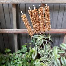 แปรงใยมะพร้าวธรรมชาติทนทานเป็นมิตรต่อสิ่งแวดล้อมและย่อยสลายได้เหมาะสำหรับทำความสะอาดขวดอาหาร - Product Image 6