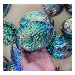 เปลือกหอยเป๋าฮื้อขัดจากเปลือกมหาสมุทรสำหรับงานฝังศิลปะการออกแบบเครื่องประดับและการตกแต่งเฟอร์นิเจอร์ผลิตในเวียดนาม - Product Image 5