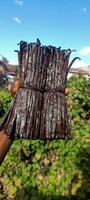 Fèves de Vanille Planifolia 100% Naturelles Séchées au Soleil, Grade A+, Région SAVA de Madagascar, Durée de Conservation de 3 Ans, Récolte de Vanille, 18 cm