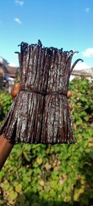 Vainas de Vainilla Bourbon 100% Naturales Secas al Sol de 18 cm, Grado A+, Madagascar Planifolia, Enteras, para Alimentos y Perfumes, Vida Útil de 3 Años - Product Image 5