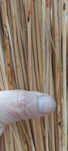 วัสดุหวายธรรมชาติขนาดเล็กเป็นมิตรกับสิ่งแวดล้อมวัสดุหวายสำหรับส่งออกแกนและเปลือก - Product Image 4