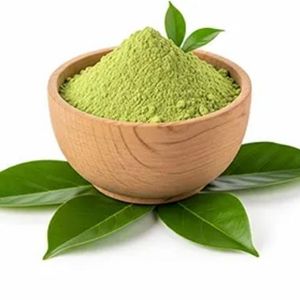 100% poudre de feuille de corossol naturelle poudre d'Annona muricata meilleure qualité poudre de feuille de graviola quantité en vrac du Vietnam - Product Image 5