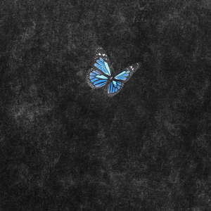 T-shirt pour homme de qualité supérieure, délavé à l'acide, séchage rapide et respirant, unisexe, 100% coton, col rond - Product Image 5