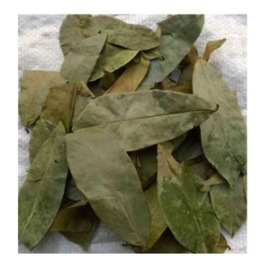 Hojas de Guanábana secas orgánicas de alto grado-Graviola-Herbal 100% Natural - Product Image 6