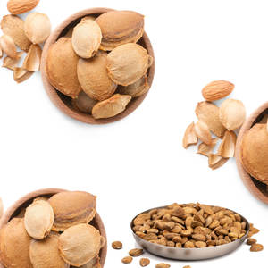 Noyaux d'abricot doux | Goût et texture excellents pour la transformation des aliments - Product Image 3