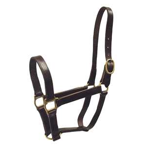 Bride de licou de cheval en cuir de qualité supérieure, fabricant indien - Product Image 2