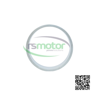 Cojinete Original OEM MWM RS-12280960 - Product Image 3