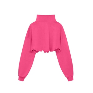 Recortado logotipo personalizado Crop Top cuello alto cremallera sudaderas pantalones de chándal conjuntos apilados en blanco ropa de mujer trajes para jóvenes - Product Image 3