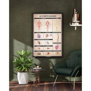 Modelo Anatómico de PVC del Cuerpo Humano para la Enseñanza de Ciencias Médicas - Product Image 4