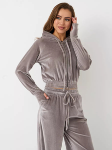 Ensemble tendance 2 pièces, ensemble de survêtement décontracté en velours pour femmes, automne, uni, argenté, pour sweat à capuche en polaire avec pantalon à cordon - Product Image 2