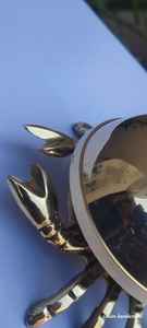 Campana de Cangrejo de Latón Antiguo, Chapada en Oro, Pulida, Estilo Vintage Imitación, para Recepción de Hotel, Escritorio de Profesor, Campana de Mano Calvin - Product Image 3