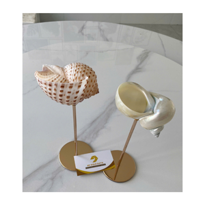 Artisan Seashell Cups, Handcrafted Snail Shell Glasses Designed for Unique Ocean-Inspired Table Settings - Product Image 4