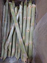 ÉTIQUETTE PROPRE CANNE À SUCRE CONGELÉE DE QUALITÉ SUPÉRIEURE UTILISATION À BOIRE À BASE DE PLANTES NATURELLES - Product Image 6