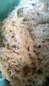 Producto caliente exportación calidad mar musgo púrpura amarillo marrón Eucheuma Cottonii Wildcrafted vegano a granel seco mar musgo Vietnam SeaMoss - Product Image 6