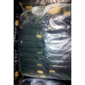 Macarrones secos a base de trigo Comori de alta calidad, 500g, Pasta Penne, certificado Halal, opción de precio más barato, caja al por mayor disponible - Product Image 3