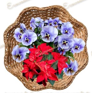 Nouveauté écologique bol à fruits/fleurs festonnés en rotin beau bol à pieds en rotin pour table à manger article parfait pour la maison - Product Image 5