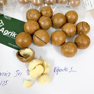 [Free sample] High quality macadamia nuts with the best price from Reliable Vietnam supplier +84 326055616