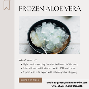 ว่านหางจระเข้แช่แข็งจากเวียดนามได้รับการรับรองมาตรฐาน iqf ระดับพรีเมียมจากผลไม้และก้านผักหั่นสี่เหลี่ยมลูกเต๋าจำนวนมากขายส่ง - Product Image 5