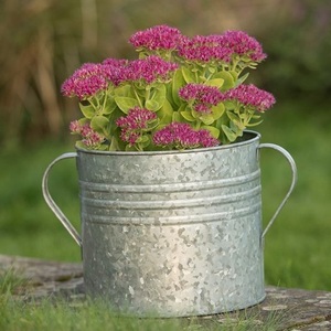 Macetas de hojalata en relieve hechas a mano de India Vintage, macetas de granja, macetas de Metal modernas para jardín, hogar al por mayor - Product Image 2