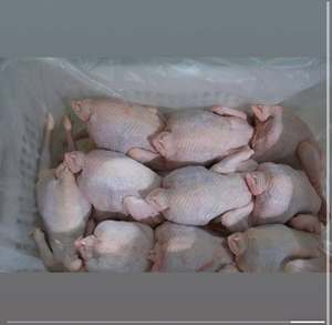Boneless Skinless Chicken Breasts HALAL Certified Frozen -18C Storage 24-Month Shelf Life UK Origin Vacuum Pack Top Grade - Product Image 4