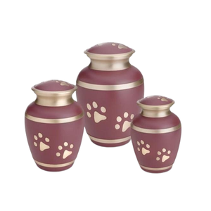 Urna de cremación de mascotas de latón con estampado de pata grabada para cenizas de mascotas con bolsa de terciopelo gratis - Product Image 1