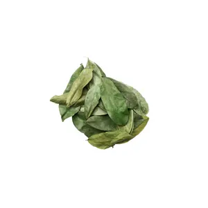 Oem Bitter Gourd 100% / Slice Fruit Tea / Customized Packaging Dried Soursop Leaves Tea Soursop Leaves Wholesale