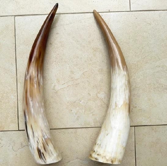 ธรรมชาติ