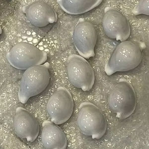 Conchas de cauri pulidas blancas Conchas de mar al por mayor para arte y adorno de bricolaje - Product Image 1