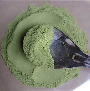 Extrait de feuille de Pandan de qualité alimentaire de qualité supérieure tambour à base de plantes de qualité verte extrait de plante en poudre active d'hespéridine fine - Product Image 4