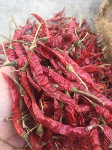 Chiles rojos secos de alta calidad, chiles secos de origen vietnamita, pimiento rojo picante de alta calidad, nueva cosecha para exportación global al mejor precio - Product Image 2