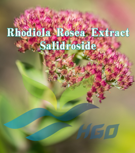 Hgo สารสกัดจาก Rhodiola rosea จากธรรมชาติบริสุทธิ์ (เกรดอาหาร) ข้อมูลจำเพาะ98% Salidroside (สารสกัดที่ได้มาตรฐาน) - Product Image 2