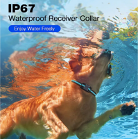 Anpassbares Design Modisches Sensitives Hundetrainingshalsband mit Ton, Vibration und Sicheren Schockmodi zur Verhaltenskorrektur
