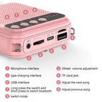 Amplificateur sonore Daytech pour enseignants, amplificateur portable à réduction de bruit, microphone à condensateur filaire léger, micro-cravate