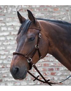 Banda para la nariz rígida con brida Bitless, que protege la boca del caballo. - Product Image 3